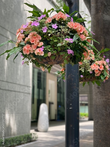 The florals on the street of “Marunouchi”, year 2022 May 26th
