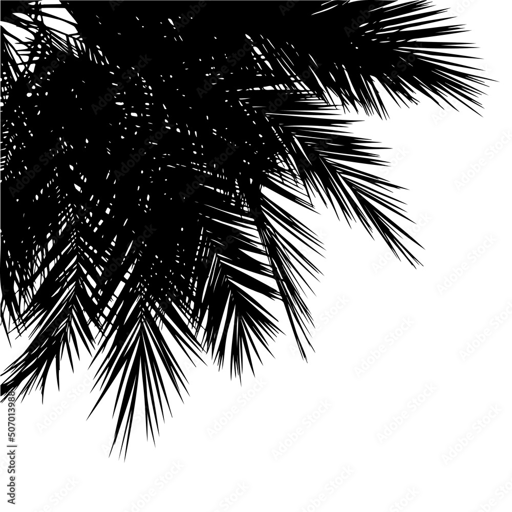 Obraz premium Palm tops silhouettes