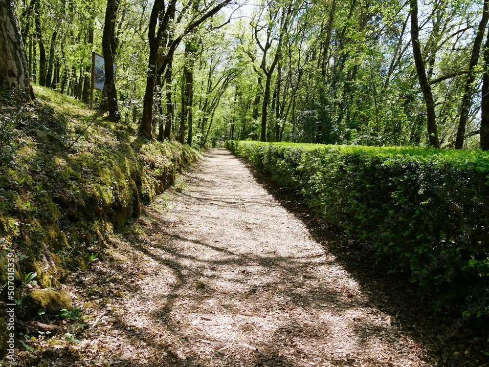 Obraz premium Buis taillés du jardin de Marqueyssac à Vezac en Dordogne en Périgord noir. France