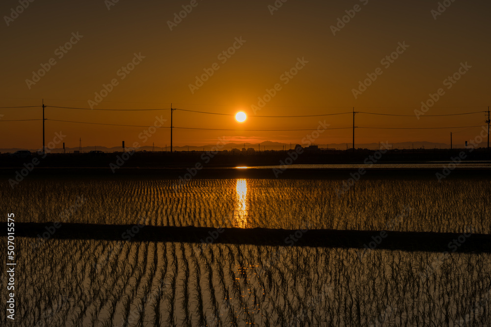 田んぼと夕日