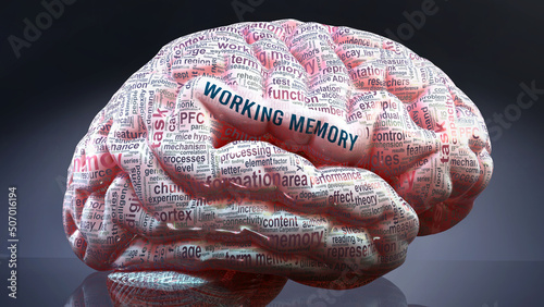 Canvas Print Working memory in human brain, hundreds of crucial terms related to Working memo
