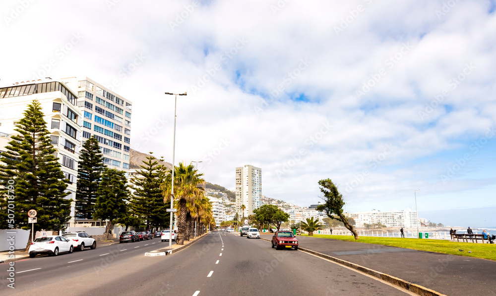 Rows of palm trees on Sea Point beach front avenue