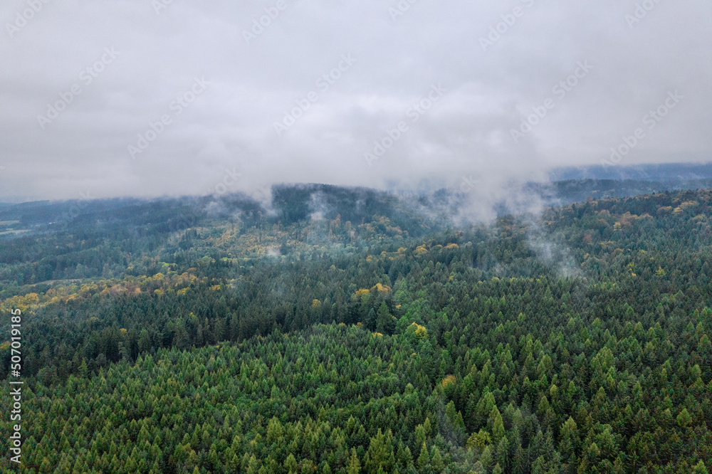 Bird's eye view of the foggy morning at the forest, cloudy day. Bird's eye view of the foggy morning at the forest, cloudy day.