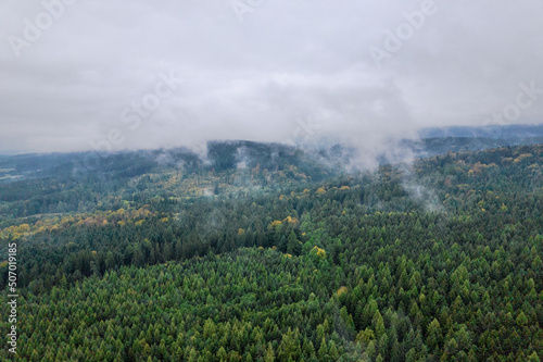 Bird's eye view of the foggy morning at the forest, cloudy day.