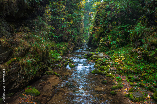 View of the mountain stream surrounded by the green forest. Early autumn colors. photo