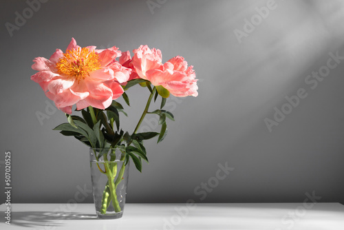 Fototapeta Naklejka Na Ścianę i Meble -  Pink peonies in glass vase against gray wall with shadow. Beautiful pastel pink peony bouquet.