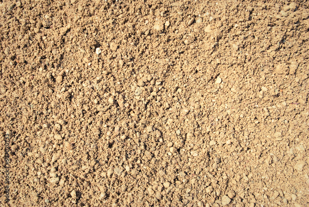 The texture of the sand. The texture of the sand.