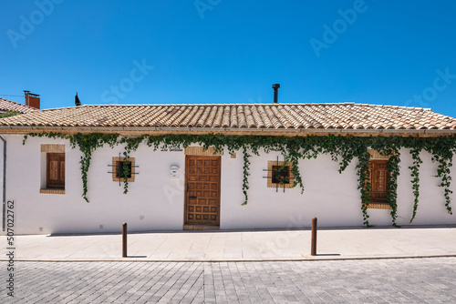 typical andalusian white house with wooden doors and green ivy on its facade.