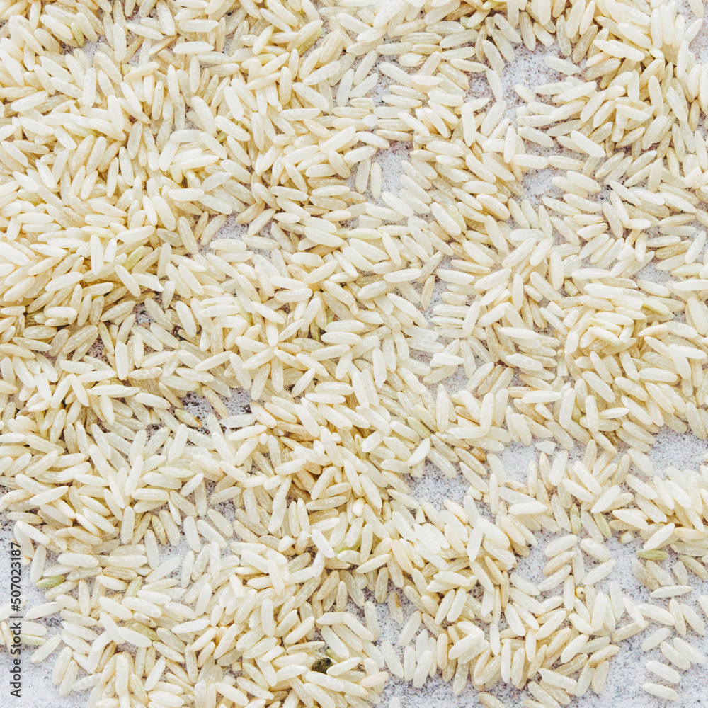 raw rice on white background