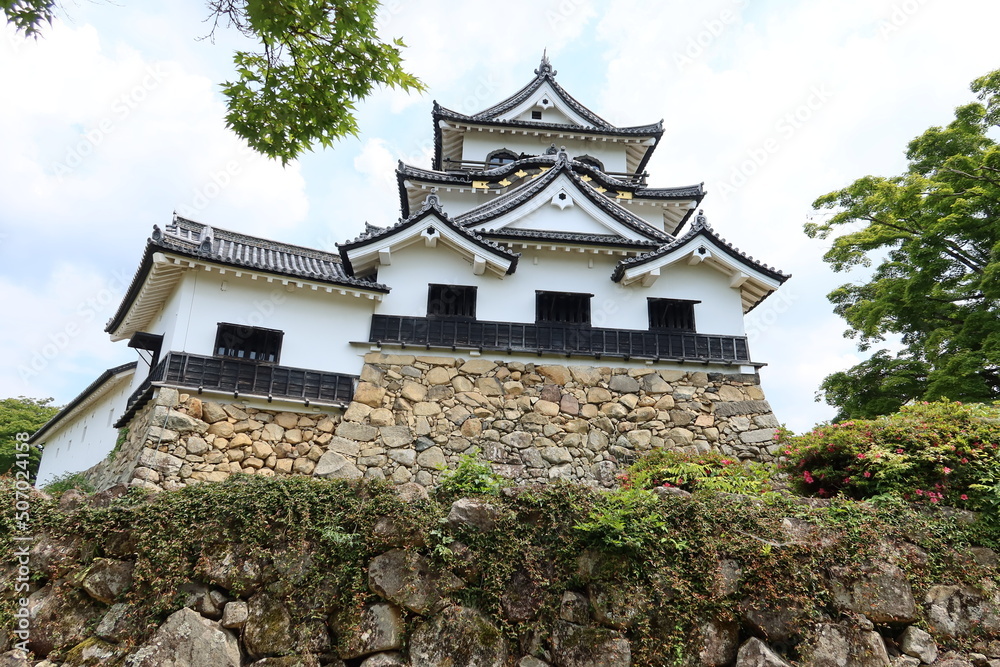 The donjon of Hikone-jyo Castle in Hikone City in Shiga Prefecture in Japan 日本の滋賀県彦根市にある彦根城の天守閣 The donjon of Hikone-jyo Castle in Hikone City in Shiga Prefecture in Japan 日本の滋賀県彦根市にある彦根城の天守閣
