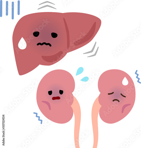 弱った肝臓と腎臓のキャラクター photo