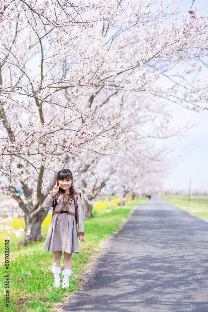桜の木の下でピースをする女の子
