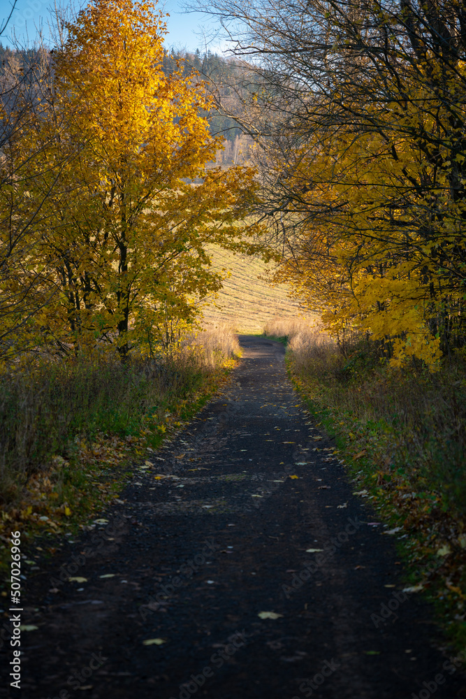 Obraz premium Mountain hiking trail during the fall season. Sunny day.