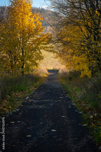 Mountain hiking trail during the fall season. Sunny day.