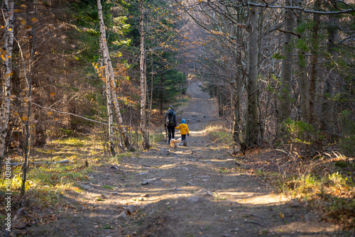 A mother with a child and a dog are walking along the mountain hiking trail. Family spending time.