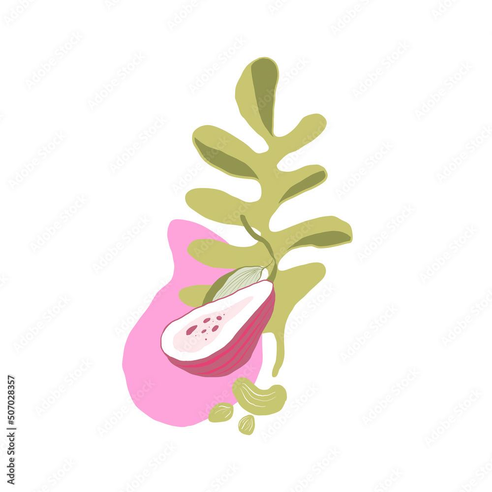 Digital floral bouquet of greenery, flowers, trendy forms. Hand painted set of green leaf, blossom, fruit with abstact shapes isolated on white background. illustration for design, print, logo