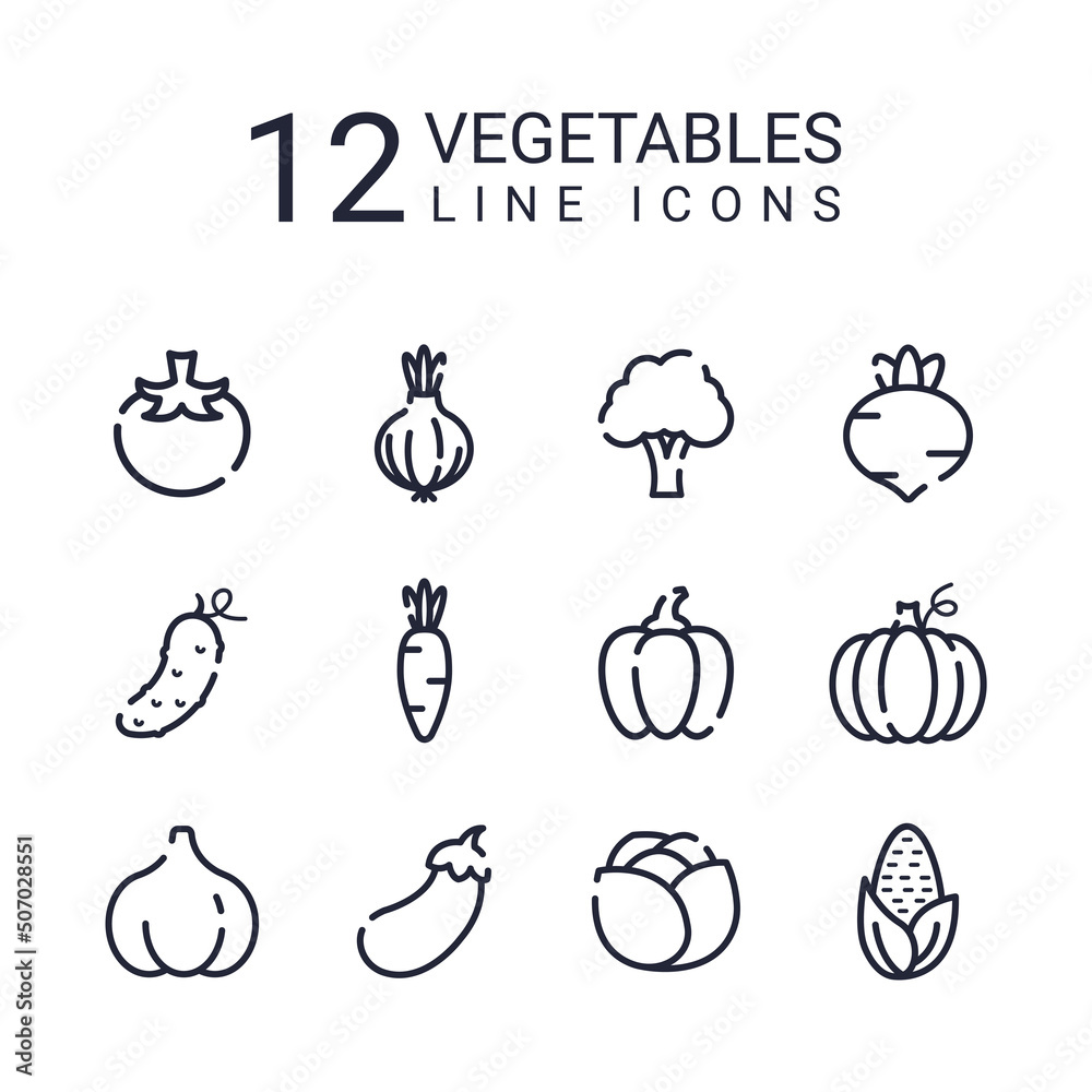 12 vegetables dark line icons. Vegetable icons. Set of icons. Vegetables. Vegetarians. Healthy food. Dark icons. 12 vegetables dark line icons. Vegetable icons. Set of icons. Vegetables. Vegetarians. Healthy food. Dark icons.
