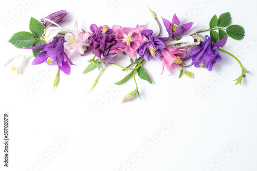 Print op canvas floral layout  from pink and lilac flowers of aquilegia on a white background