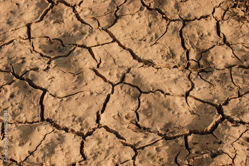 Dry deserted and cracked soil