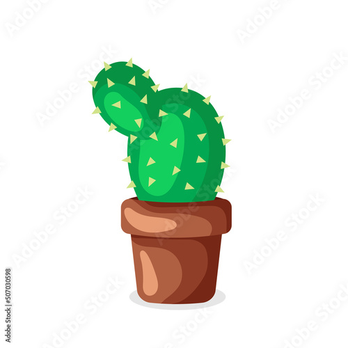 green cactus in a clay pot