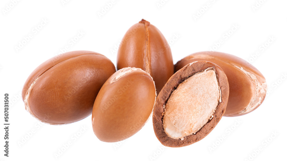 Argan seeds isolated on white background. Natural argan nuts from Morocco. Argania. Close up. Argan seeds isolated on white background. Natural argan nuts from Morocco. Argania. Close up.