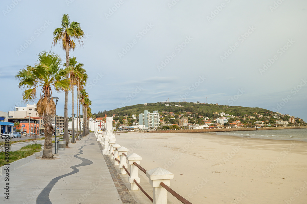 Palm trees and sidewalk by the beach on a sunny day in Piriapolis, Maldonado, Uruguay