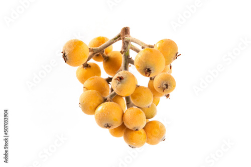 loquat fruit isolated on white background