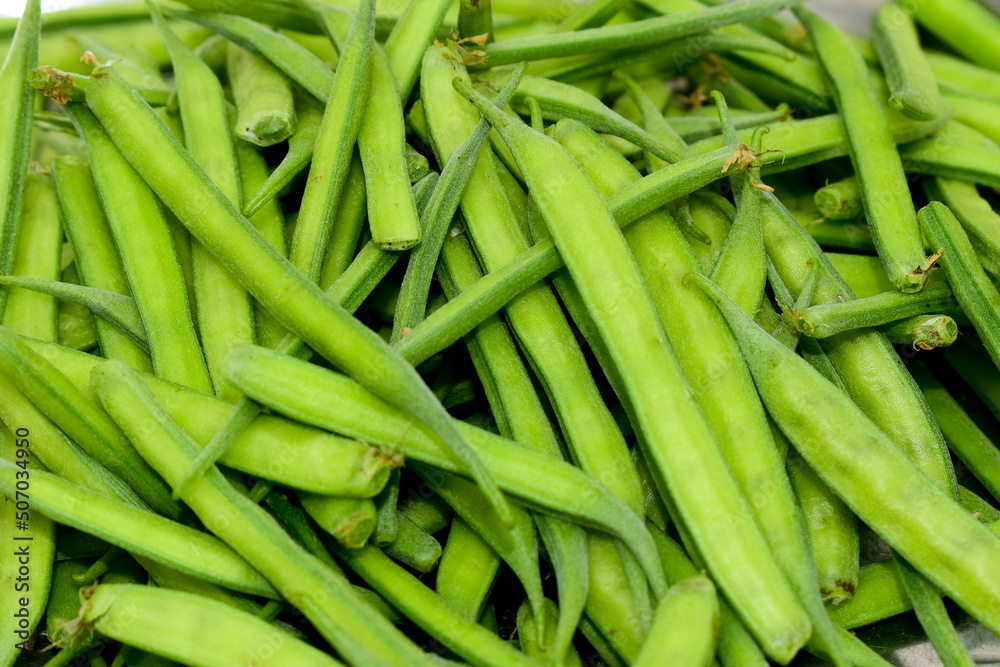 Fresh green organic cluster (guvar) beans vegetable Fresh green organic cluster (guvar) beans vegetable