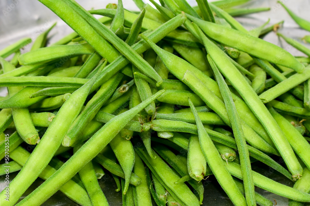 Fresh green organic cluster (guvar) beans vegetable Fresh green organic cluster (guvar) beans vegetable