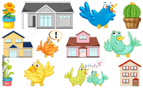 House design and many birds