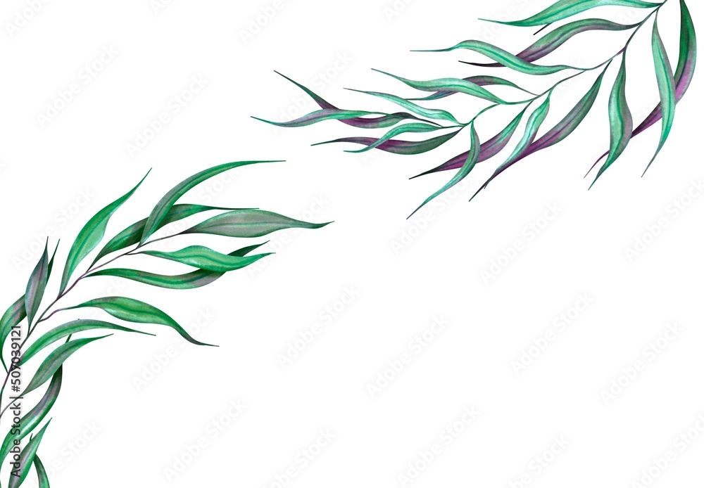 Obraz premium bamboo Hand painted floral elements.