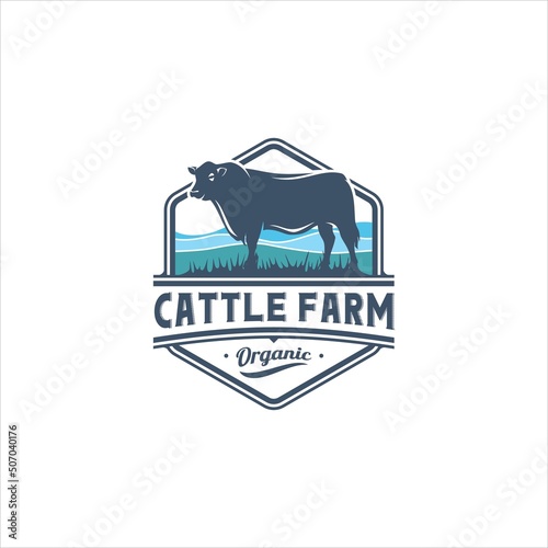 Cow Cattle Angus Ox Logo Design Vector Image
