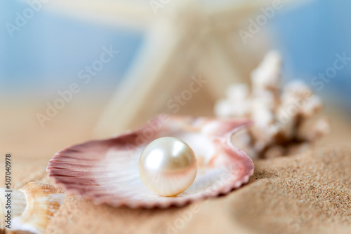 sea shells and pearl on sand
