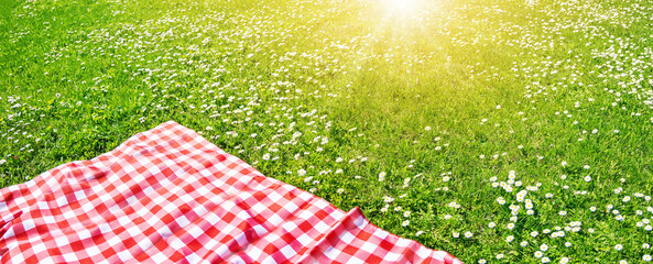 Picnic duvet on the meadow with green grass and spring flowers