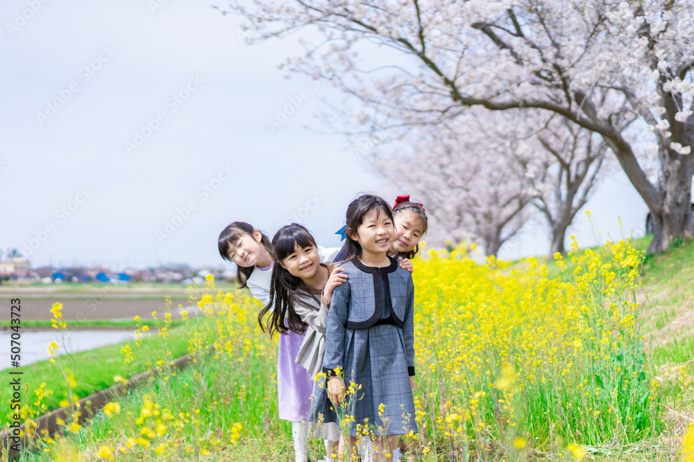 お花畑で仲良く遊ぶ小学生の女の子 お花畑で仲良く遊ぶ小学生の女の子