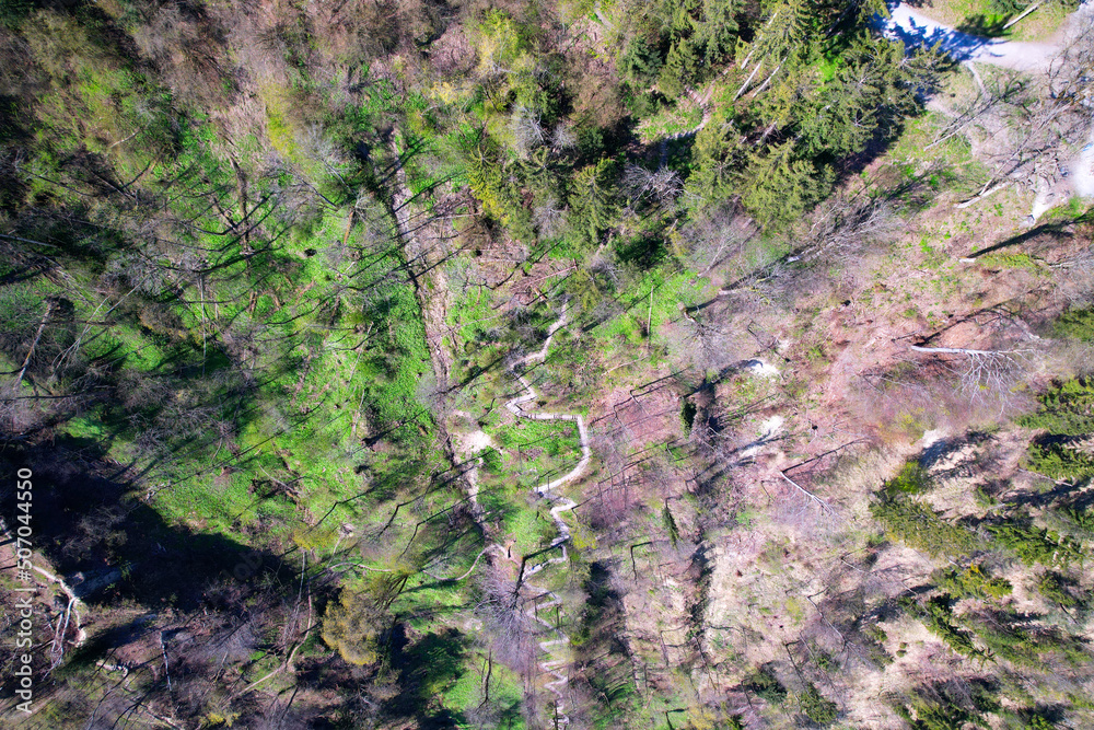 Aerial view of winding hiking trail in the woods at local mountain Uetliberg on a sunny spring day. Photo taken April 21st, 2022, Zurich, Switzerland. Aerial view of winding hiking trail in the woods at local mountain Uetliberg on a sunny spring day. Photo taken April 21st, 2022, Zurich, Switzerland.