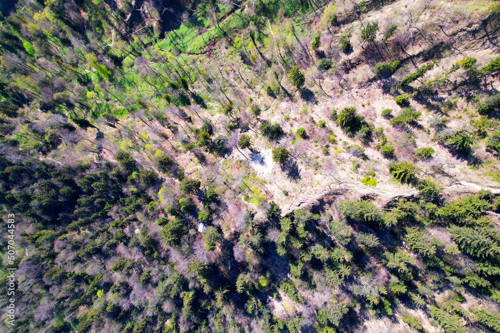 Aerial view of winding hiking trail in the woods at local mountain Uetliberg on a sunny spring day. Photo taken April 21st, 2022, Zurich, Switzerland.