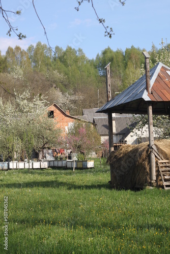 Village in Ukraine. Zakarpattya