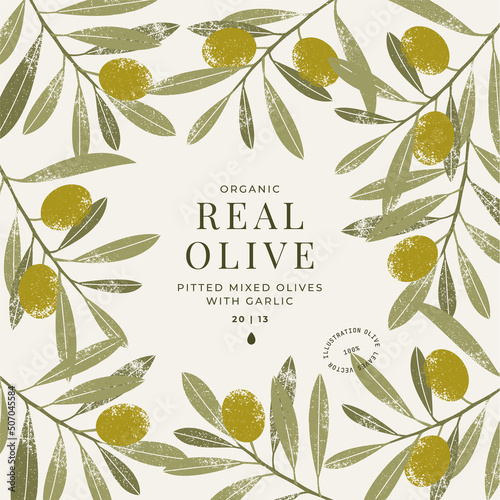Olive frame design template. Olive leaves and branches vintage illustration. 