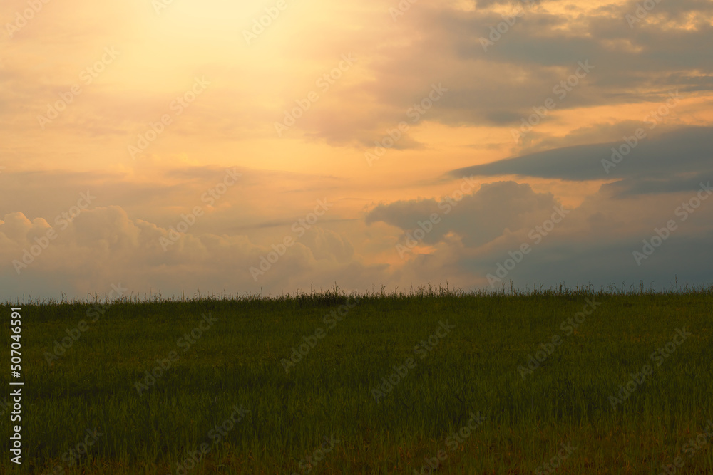 Green field and sunset in background.Spring season.High quality photo.