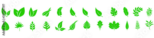 Vászonkép Green leave icon vector set