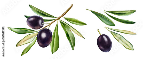 Print op canvas Black olive branch