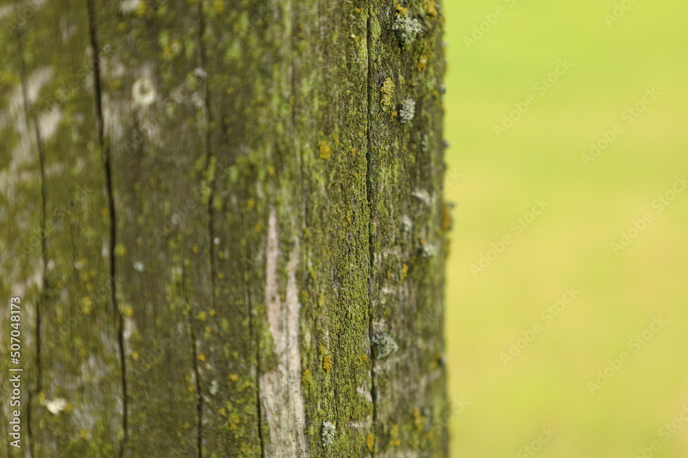 Obraz premium rusty fence