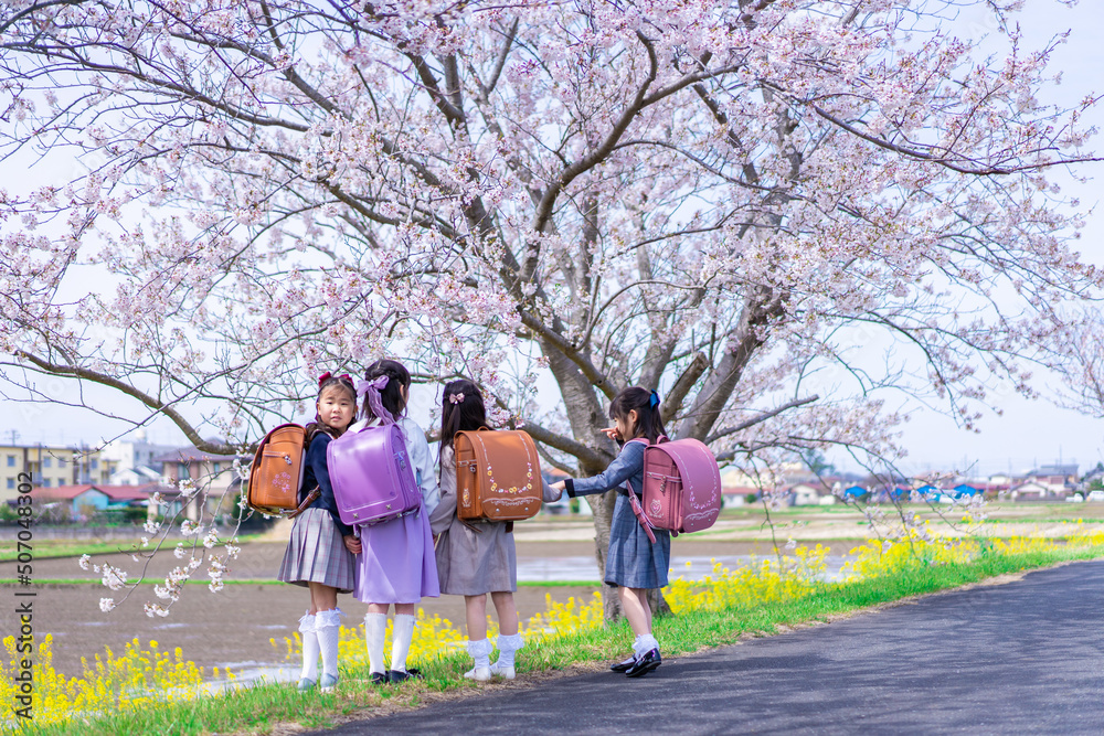 Obraz premium ランドセルを背負って楽しく登校する小学生の女の子たち