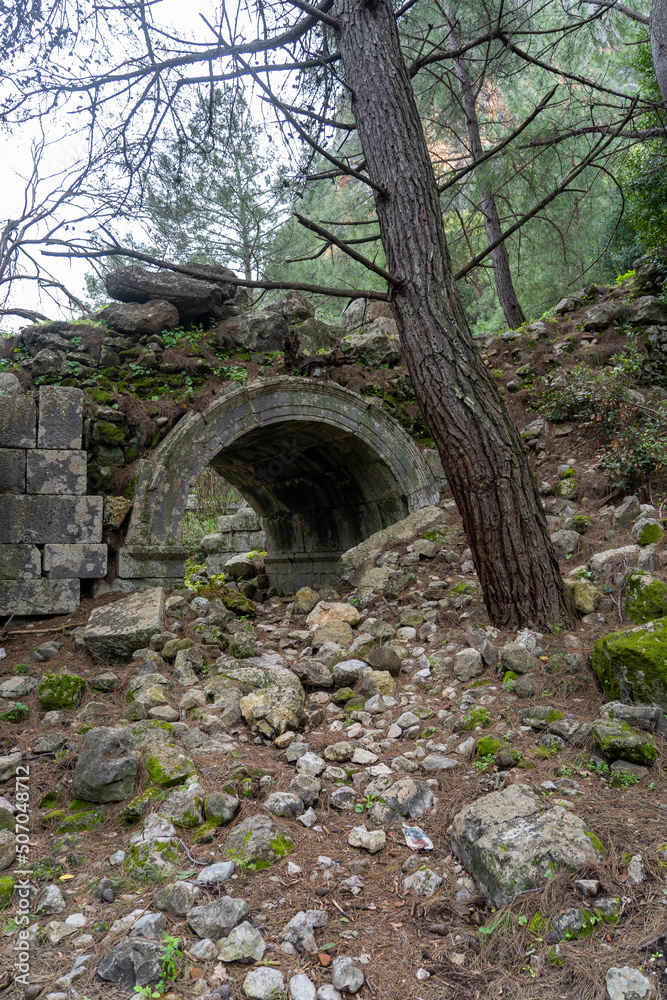 Old stone arch in forest
