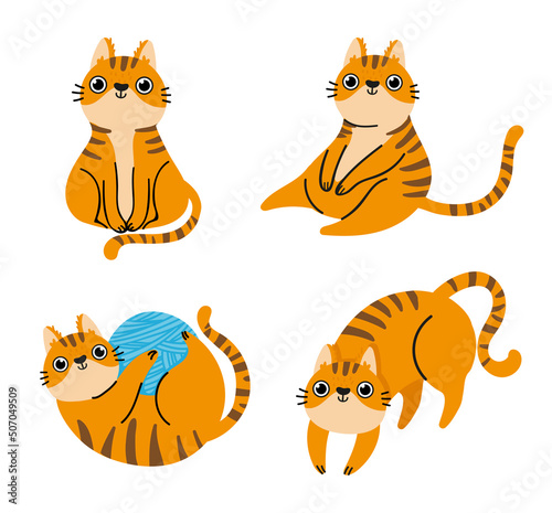 Cat poses collection, cute pet sitting or lie