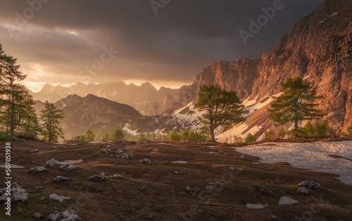 Beautiful summer morning in the mountains of Julian Alps