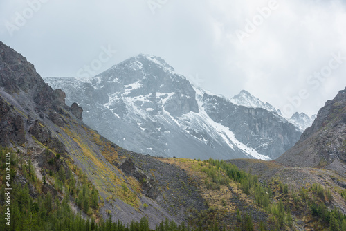 Fototapeta Naklejka Na Ścianę i Meble -  High mossy mountains with trees against large snowy mountain top with sharp rocks in rainy low clouds. Dramatic view to forest mountainside and snow mountains in gray cloudy sky in changeable weather.