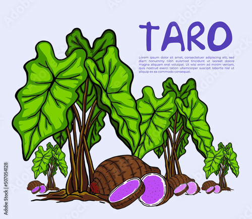 Purple Taro Tree Background Vector EPS 10