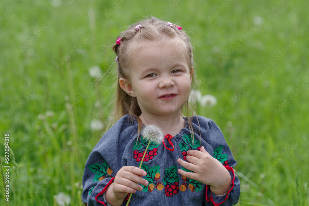 Little girl picking dandelion in meadow